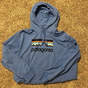 Blue Patagonia Hoodie